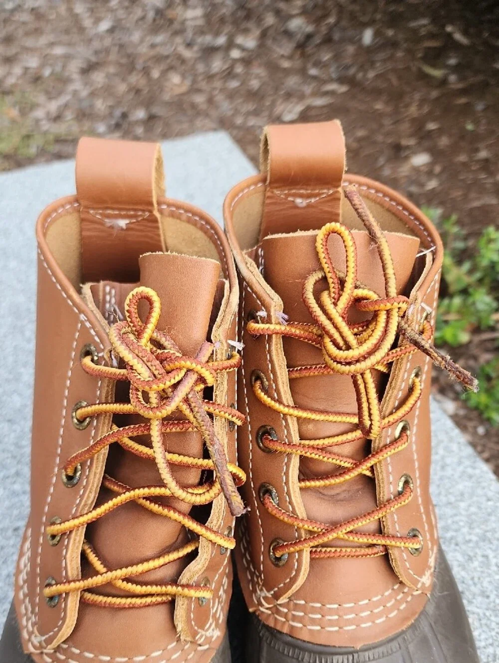 LL Bean 6